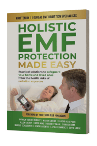 Holistic EMF Protection Made Easy Book