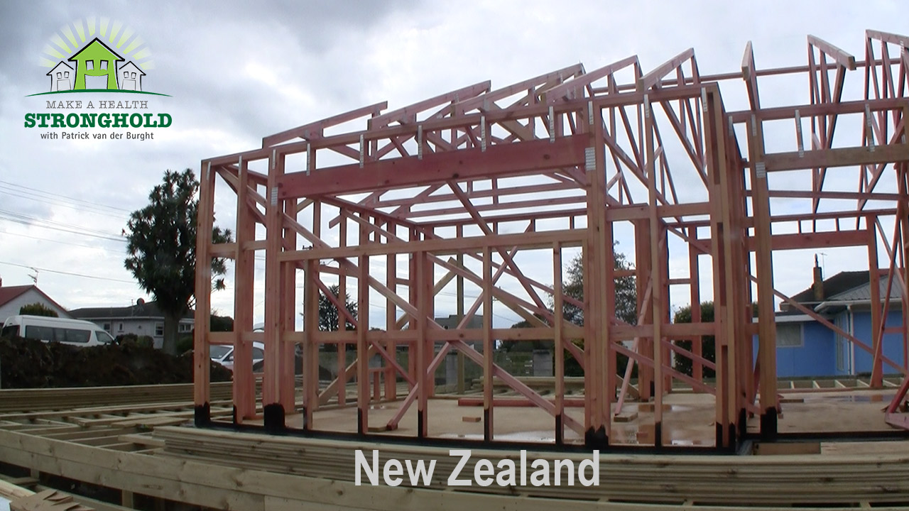 EMF Radiation-Free Building Consultant New Zealand Patrick van der Burght