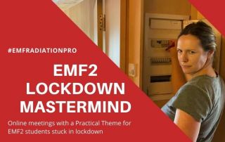 Patrick's EMF2 Practical Workshop EMF assessment - Lockdown Online Meetings