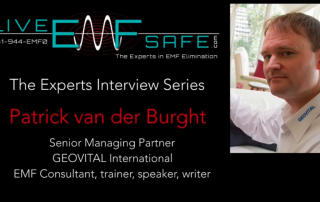 emf experts interview with Patrick van der Burght