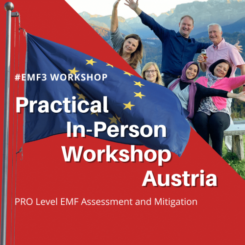 EMF3 EMF Radiation Assessment workshop in Austria with GEOVITAL